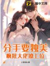分手要独美?疯批大佬撩上位